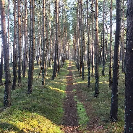 Aquarium - Komfortowe Nad Samym Morzem Apartment *