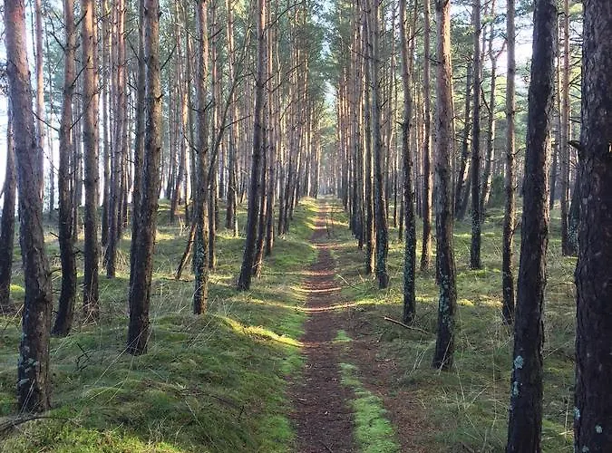 Aquarium - Komfortowe Nad Samym Morzem Lägenhet *